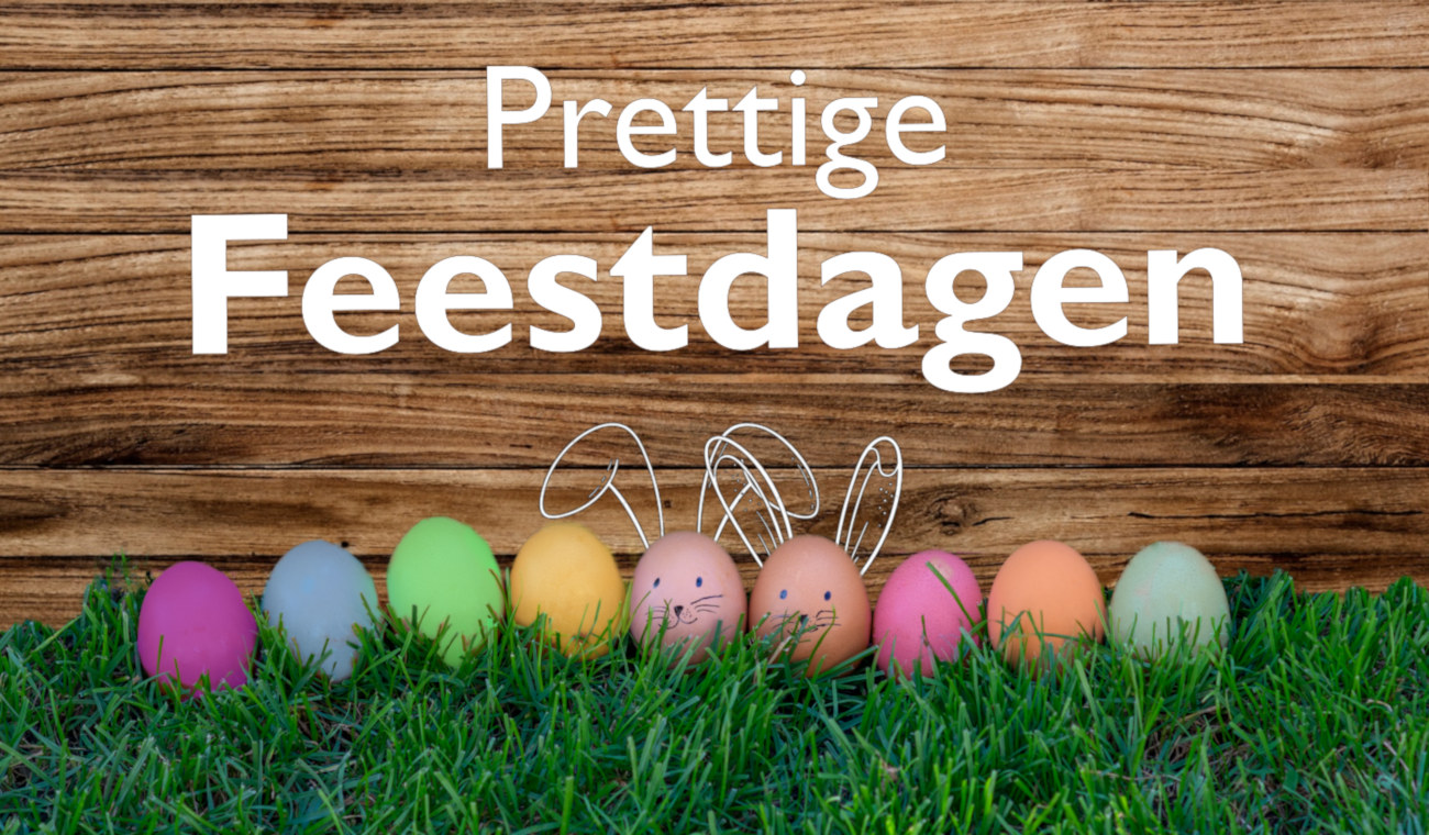 Prettige Feestdagen Paashaas