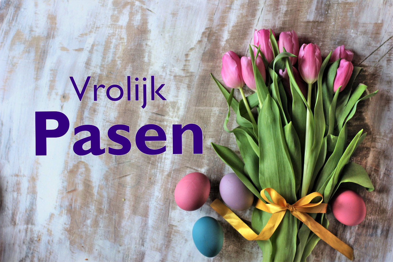 Vrolijk Pasen Tulpen